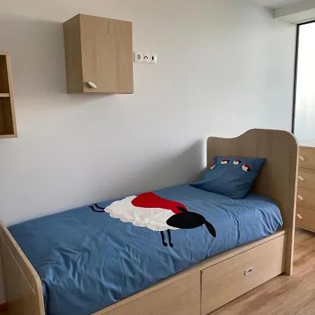 فيلة Hibiscus أفيفي