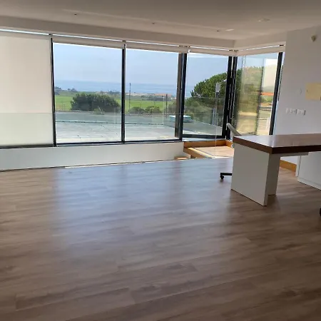 Hibiscus * أفيفي