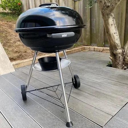 Hibiscus * أفيفي