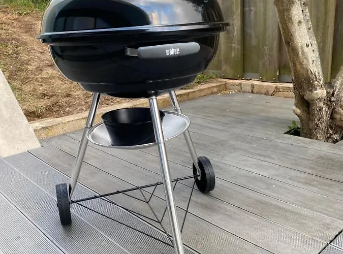 Hibiscus * 아피프